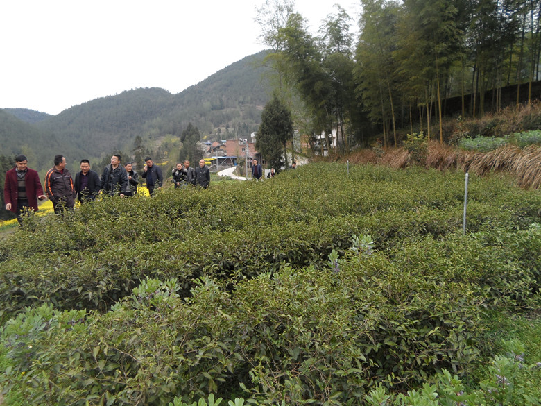 1492050496966497.jpg 2_副本.jpg